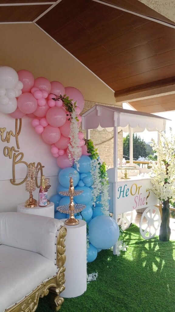 IMG-20250603-WA0027 Gender reveal setup with pink and blue balloons, white throne chair, and He or She cart.